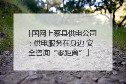 国网上蔡县供电公司：供电服务在身边 安全咨询“零距离”