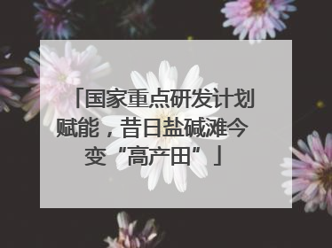 国家重点研发计划赋能，昔日盐碱滩今变“高产田”