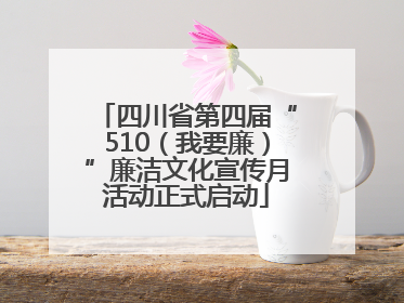四川省第四届“510（我要廉）”廉洁文化宣传月活动正式启动