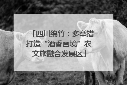 四川绵竹：多举措打造“酒香画境”农文旅融合发展区