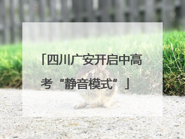 四川广安开启中高考“静音模式”