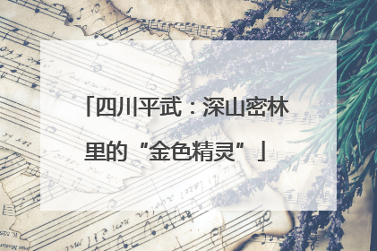 四川平武：深山密林里的“金色精灵”