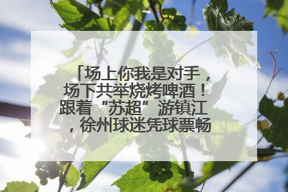 场上你我是对手，场下共举烧烤啤酒！跟着“苏超”游镇江，徐州球迷凭球票畅游名山胜景