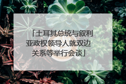 土耳其总统与叙利亚政权领导人就双边关系等举行会谈