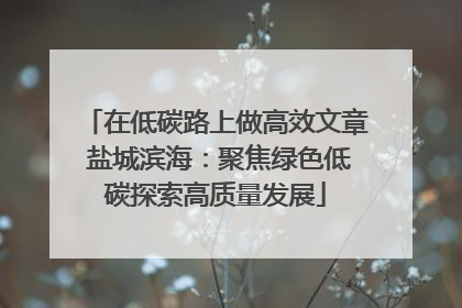 在低碳路上做高效文章 盐城滨海：聚焦绿色低碳探索高质量发展