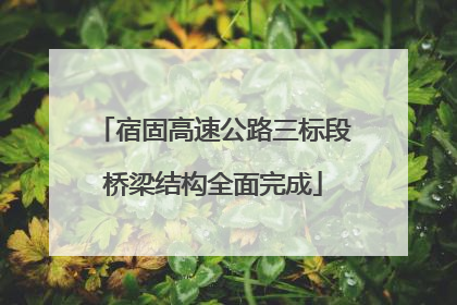 宿固高速公路三标段桥梁结构全面完成