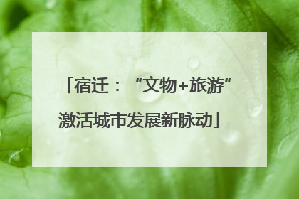 宿迁：“文物+旅游”激活城市发展新脉动