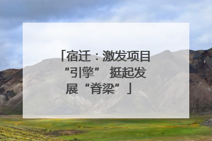 宿迁：激发项目“引擎” 挺起发展“脊梁”