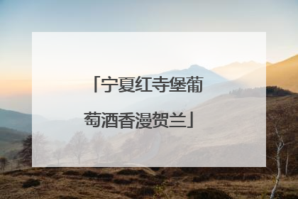 宁夏红寺堡葡萄酒香漫贺兰