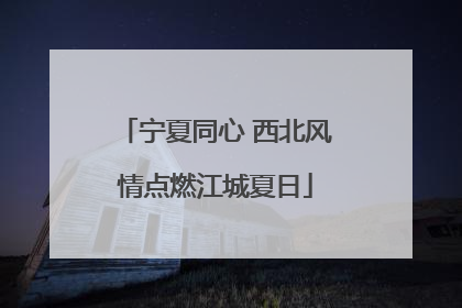 宁夏同心 西北风情点燃江城夏日