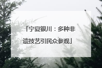 宁夏银川：多种非遗技艺引民众参观