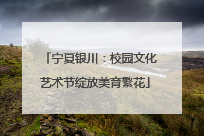 宁夏银川：校园文化艺术节绽放美育繁花