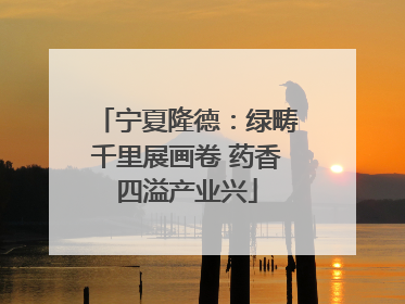 宁夏隆德：绿畴千里展画卷 药香四溢产业兴