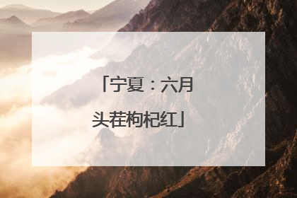 宁夏：六月头茬枸杞红