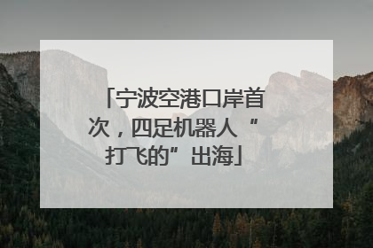 宁波空港口岸首次，四足机器人“打飞的”出海