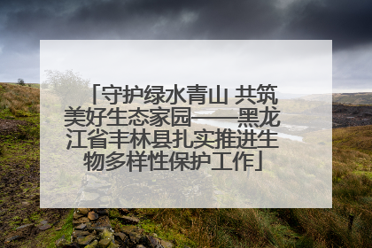 守护绿水青山 共筑美好生态家园——黑龙江省丰林县扎实推进生物多样性保护工作