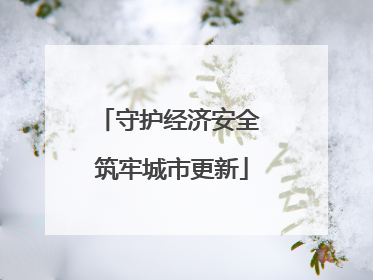 守护经济安全 筑牢城市更新