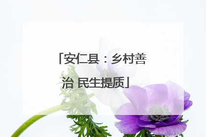 安仁县：乡村善治 民生提质