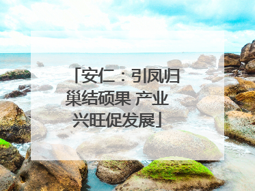 安仁：引凤归巢结硕果 产业兴旺促发展