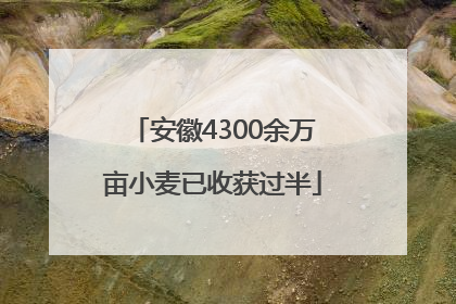安徽4300余万亩小麦已收获过半