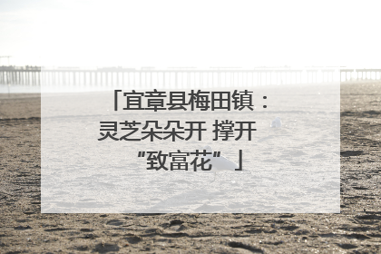 宜章县梅田镇：灵芝朵朵开 撑开“致富花”