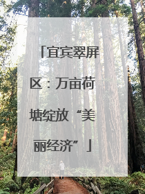 宜宾翠屏区：万亩荷塘绽放“美丽经济”