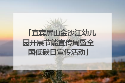 宜宾屏山金沙江幼儿园开展节能宣传周暨全国低碳日宣传活动