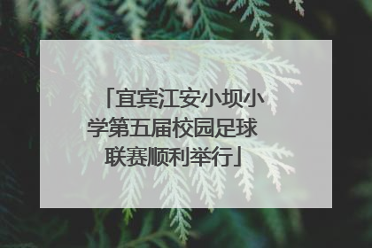 宜宾江安小坝小学第五届校园足球联赛顺利举行