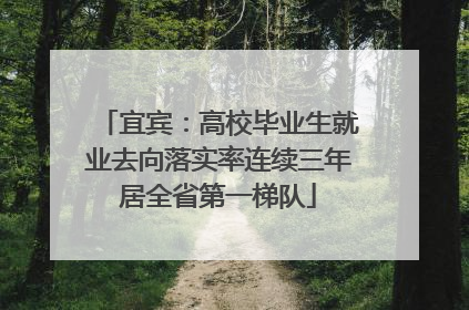 宜宾：高校毕业生就业去向落实率连续三年居全省第一梯队