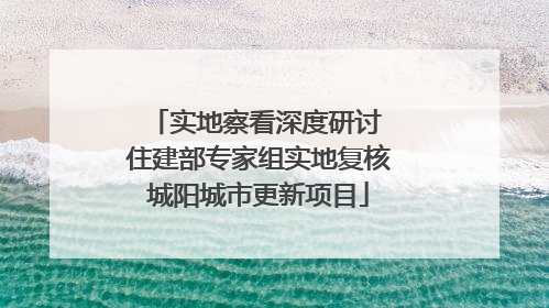 实地察看深度研讨 住建部专家组实地复核城阳城市更新项目