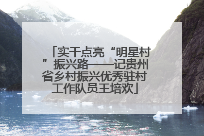 实干点亮“明星村”振兴路——记贵州省乡村振兴优秀驻村工作队员王培欢