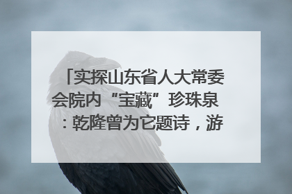 实探山东省人大常委会院内“宝藏”珍珠泉：乾隆曾为它题诗，游客无需预约免费游览