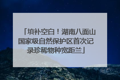 填补空白！湖南八面山国家级自然保护区首次记录珍稀物种宽距兰