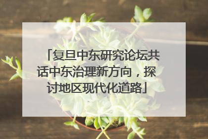 复旦中东研究论坛共话中东治理新方向，探讨地区现代化道路