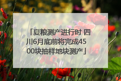 夏粮测产进行时 四川6月底前将完成4500块抽样地块测产