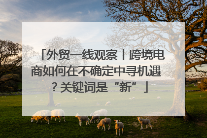 外贸一线观察丨跨境电商如何在不确定中寻机遇？关键词是“新”