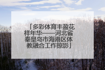 多彩体育丰盈花样年华——河北省秦皇岛市海港区体教融合工作掠影
