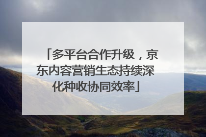 多平台合作升级，京东内容营销生态持续深化种收协同效率