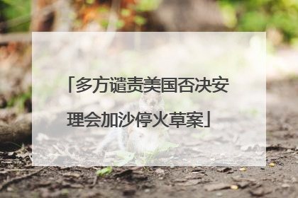 多方谴责美国否决安理会加沙停火草案