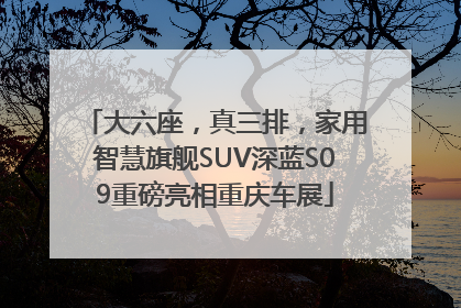 大六座，真三排，家用智慧旗舰SUV深蓝S09重磅亮相重庆车展