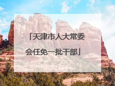 天津市人大常委会任免一批干部