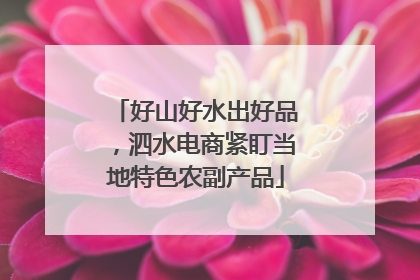 好山好水出好品，泗水电商紧盯当地特色农副产品