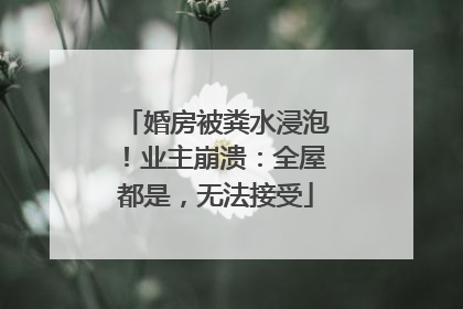 婚房被粪水浸泡！业主崩溃：全屋都是，无法接受