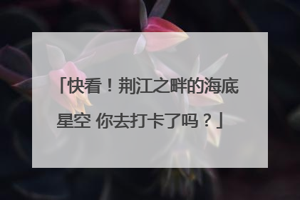 快看！荆江之畔的海底星空 你去打卡了吗？