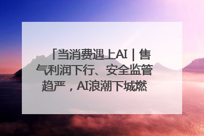 当消费遇上AI｜售气利润下行、安全监管趋严，AI浪潮下城燃企业如何破局