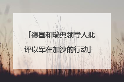 德国和瑞典领导人批评以军在加沙的行动