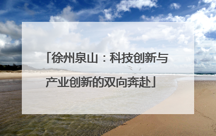徐州泉山：科技创新与产业创新的双向奔赴