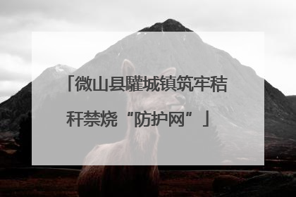 微山县驩城镇筑牢秸秆禁烧“防护网”