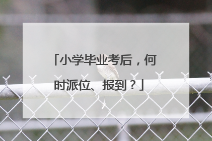 小学毕业考后，何时派位、报到？