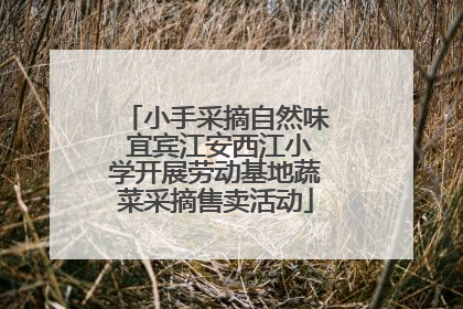 小手采摘自然味 宜宾江安西江小学开展劳动基地蔬菜采摘售卖活动